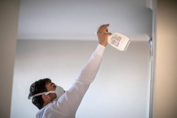 Best Emergency Mold Removal  in Hermiston, OR