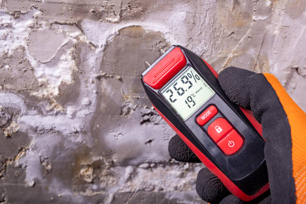 Mold Removal Process in Hermiston, OR