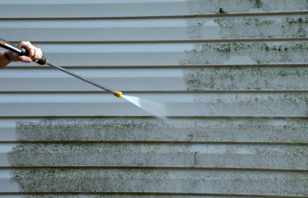 Best Mold Damage Repair  in Hermiston, OR