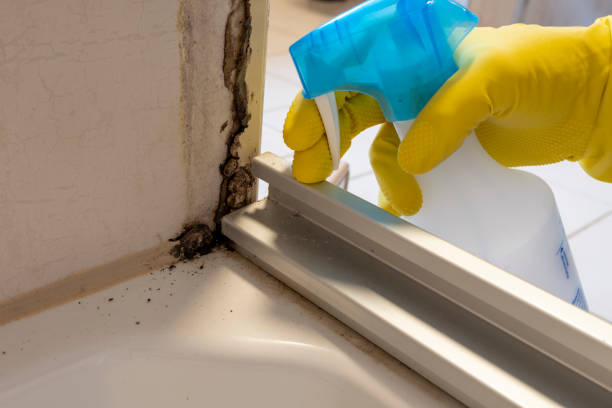 Best Local Mold Removal Service  in Hermiston, OR