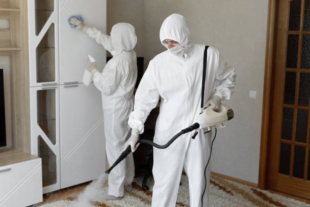 Best Mold Removal Process  in Hermiston, OR
