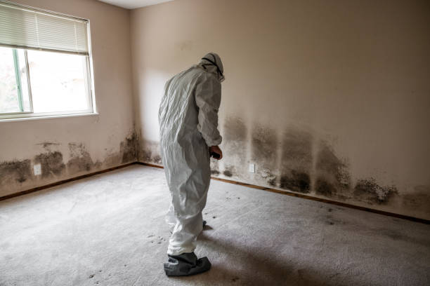 Best Mold Inspection  in Hermiston, OR
