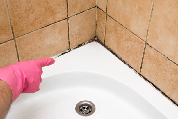 Best Office Mold Removal Services  in Hermiston, OR
